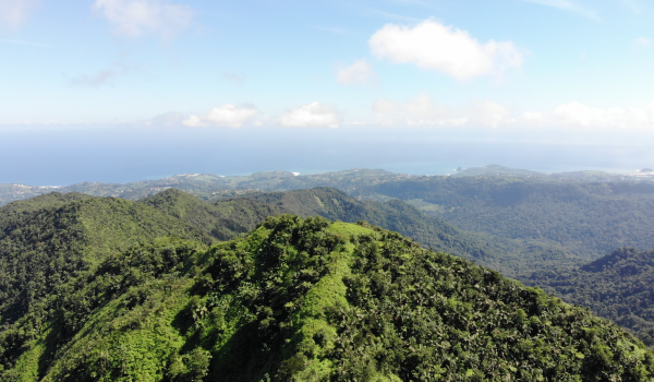 Admirez un panorama exceptionnel depuis le sommet du Morne Jacob