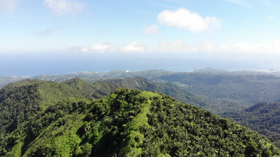 Admirez un panorama exceptionnel depuis le sommet du Morne Jacob
