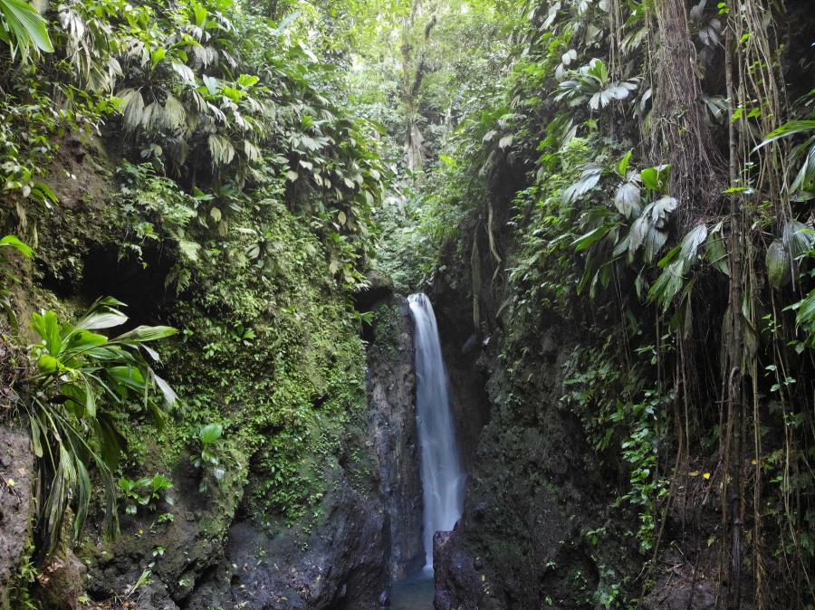 Chute des Rois
